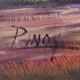 Large painting, oil on canvas signed "Pinoy"