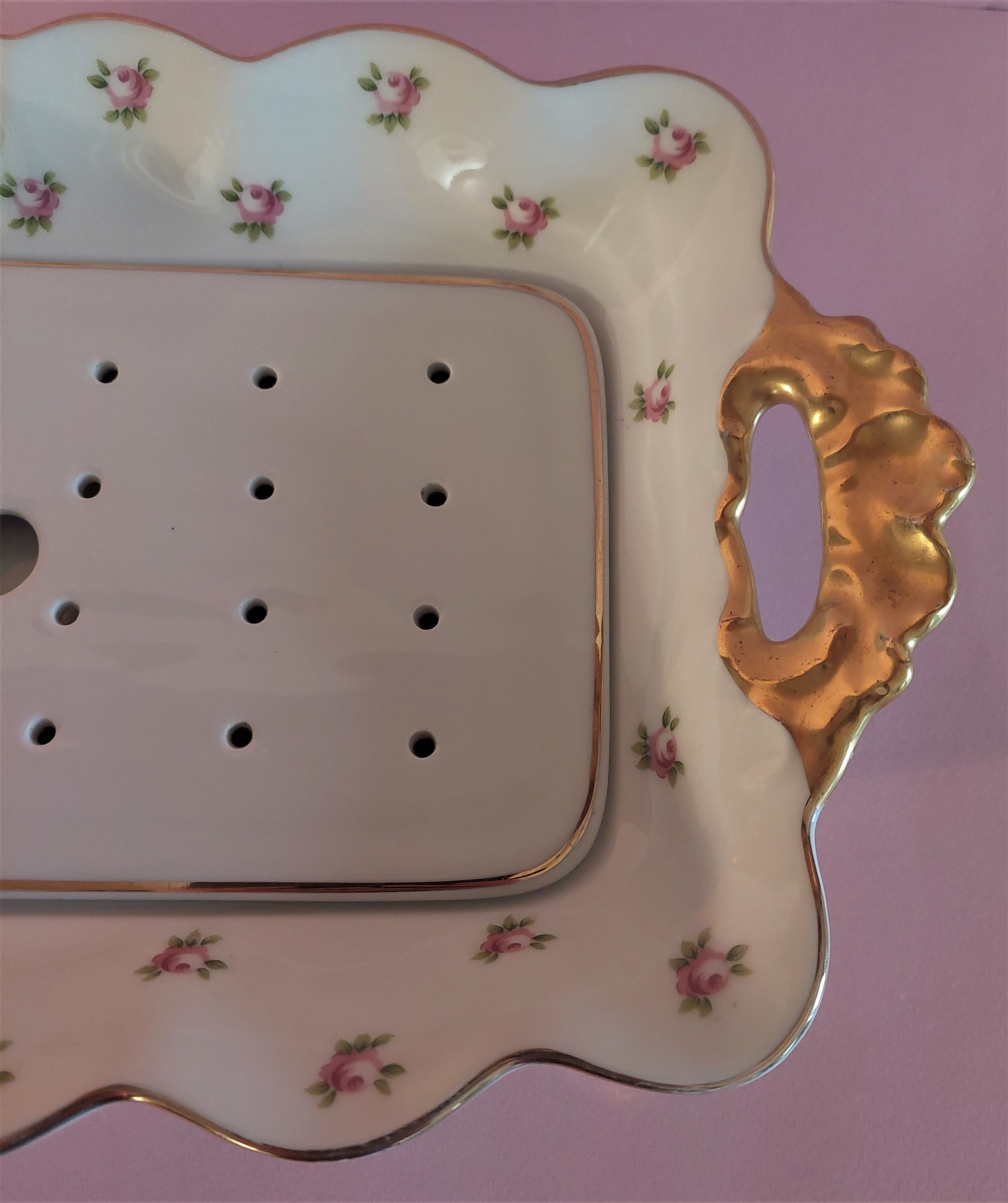 Asparagus dish and limoges porcelain drainer UC Limoges rose seedlings