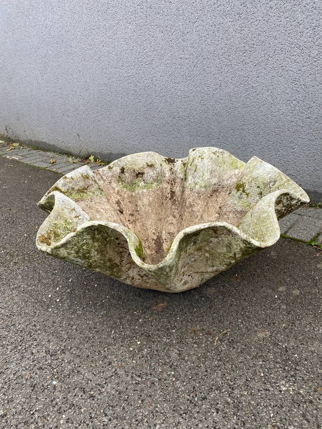 Biomorphic planter by Willy Guhl, 1960