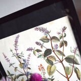 Framed pharmaceutical board