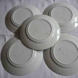 5 plates of vintage blue flowers
