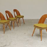 Set of 4 yellow Antonin Suman chairs for Tatra Nabytok 1960
