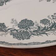 Ancien plat ovale terre de fer manufacture st amand modèle: daisy