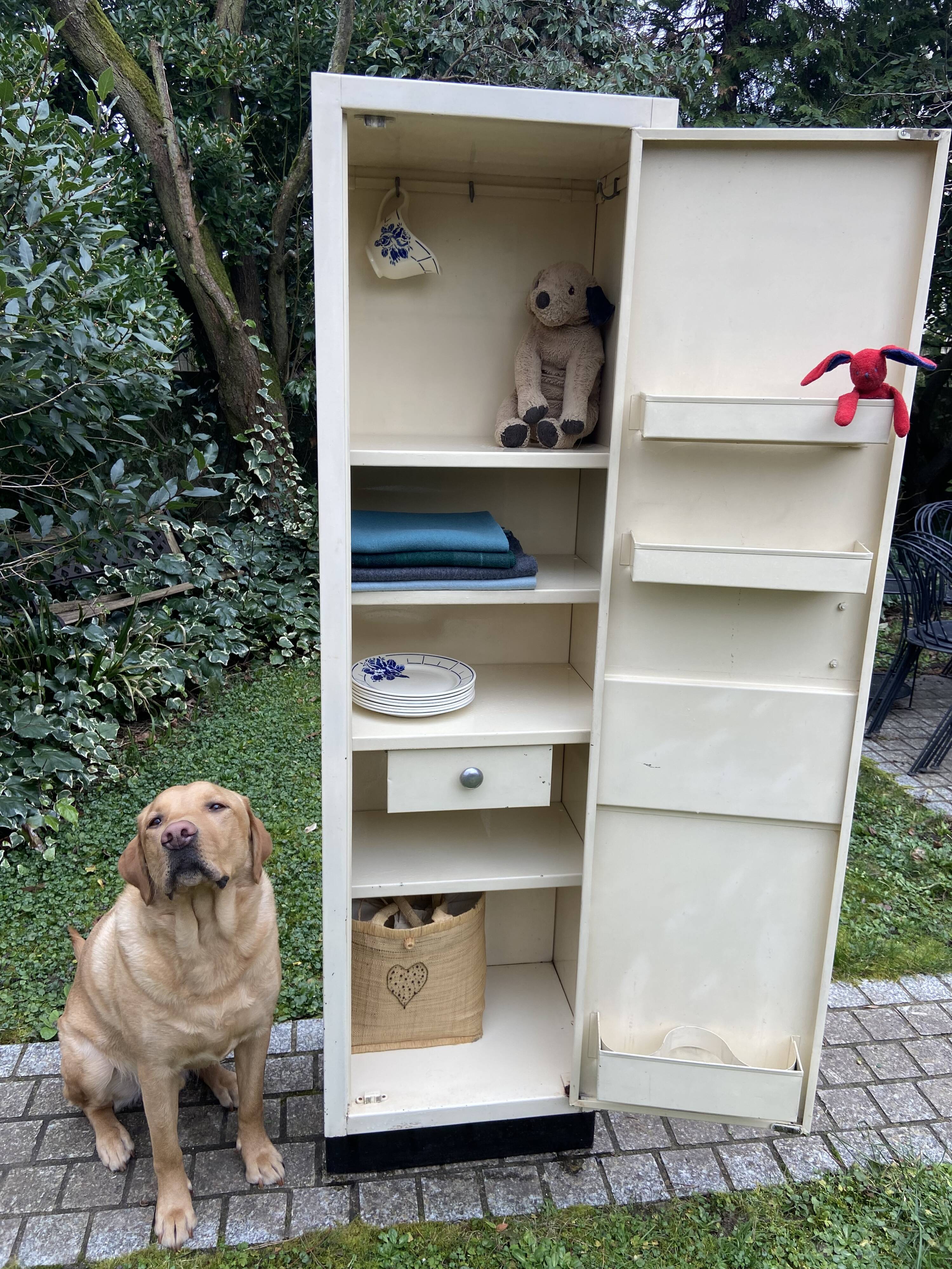 Vintage metal cabinet 1950