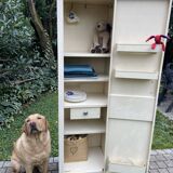 Vintage metal cabinet 1950