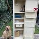 Vintage metal cabinet 1950