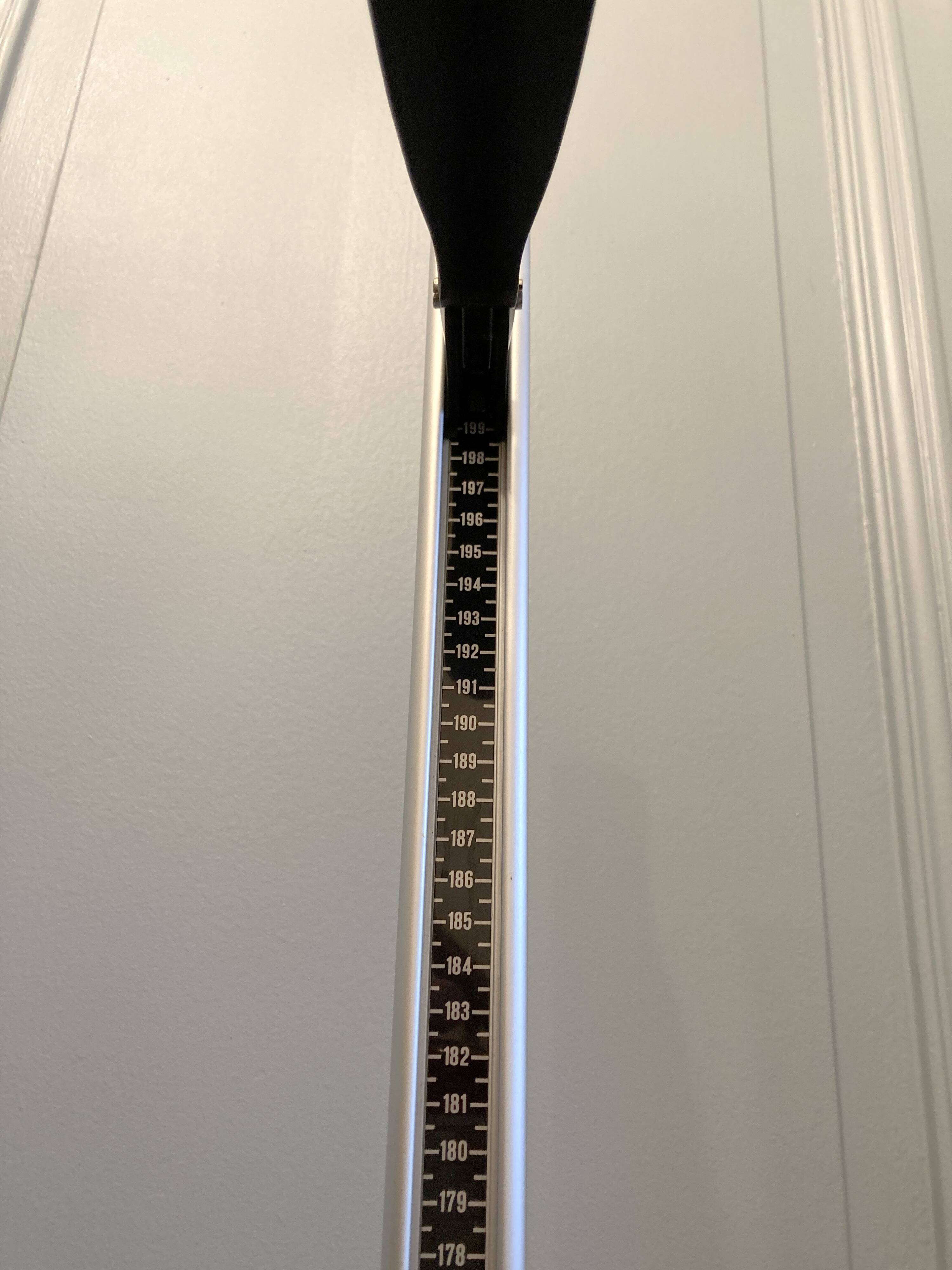 Personal scale and medicine measuring rod