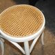 Canna white stool