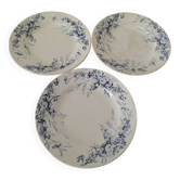 Assiettes Creil Montereau Modèle Linotte