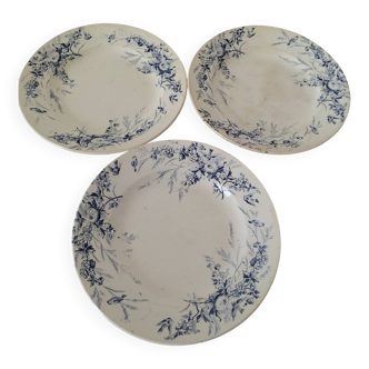 Creil Montereau Plates Linotte Model