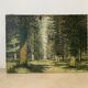 Huile sur toile, forêt, vintage