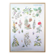 Printed in 1954, calming plants.