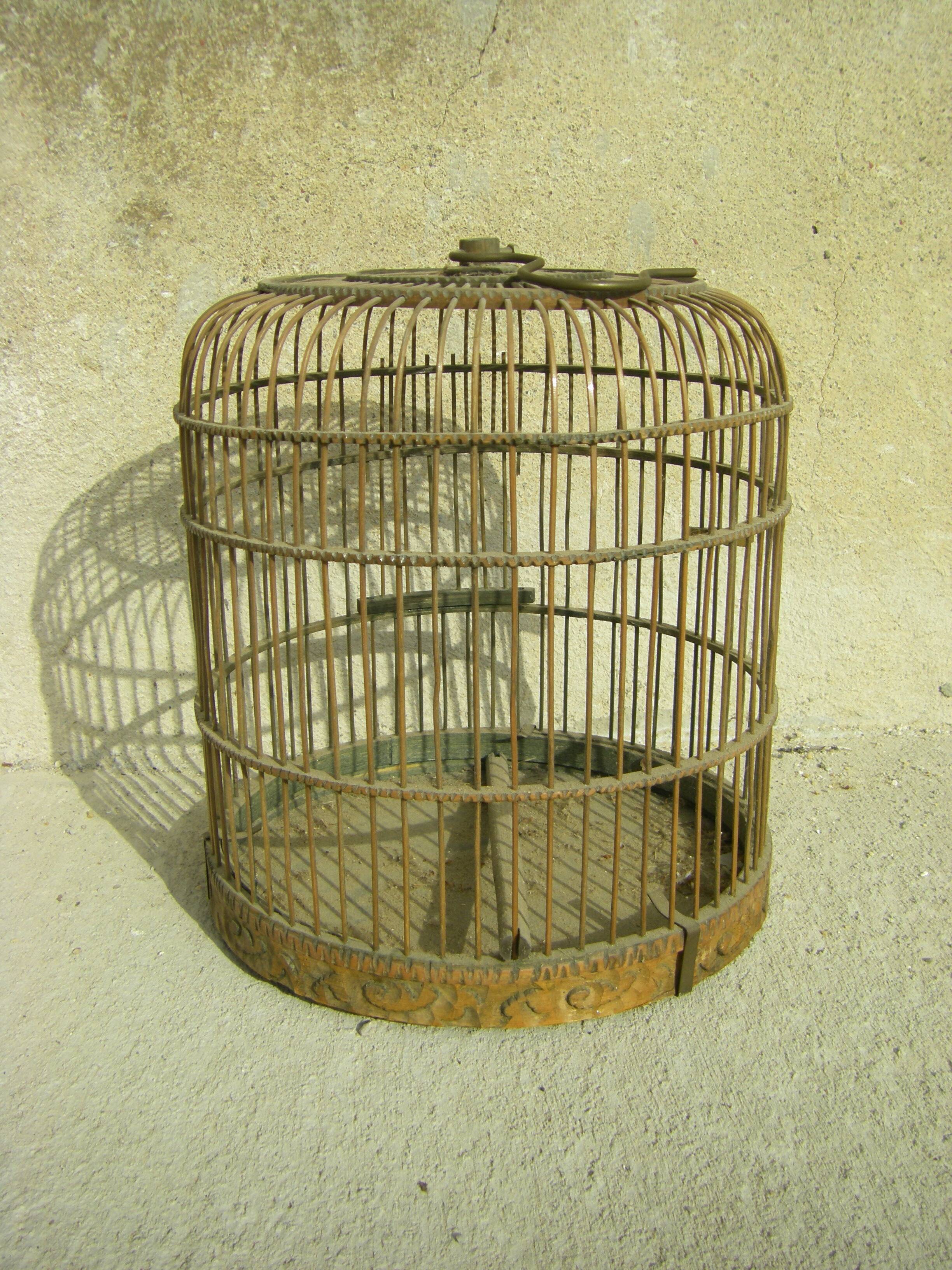 Old bird cage
