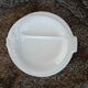 12 flat plates in earthenware/fish