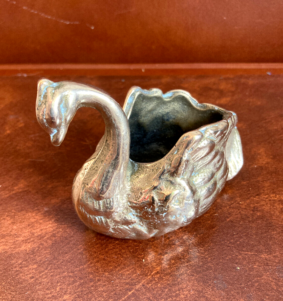 Empty pocket - bronze swan