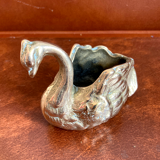 Empty pocket - bronze swan
