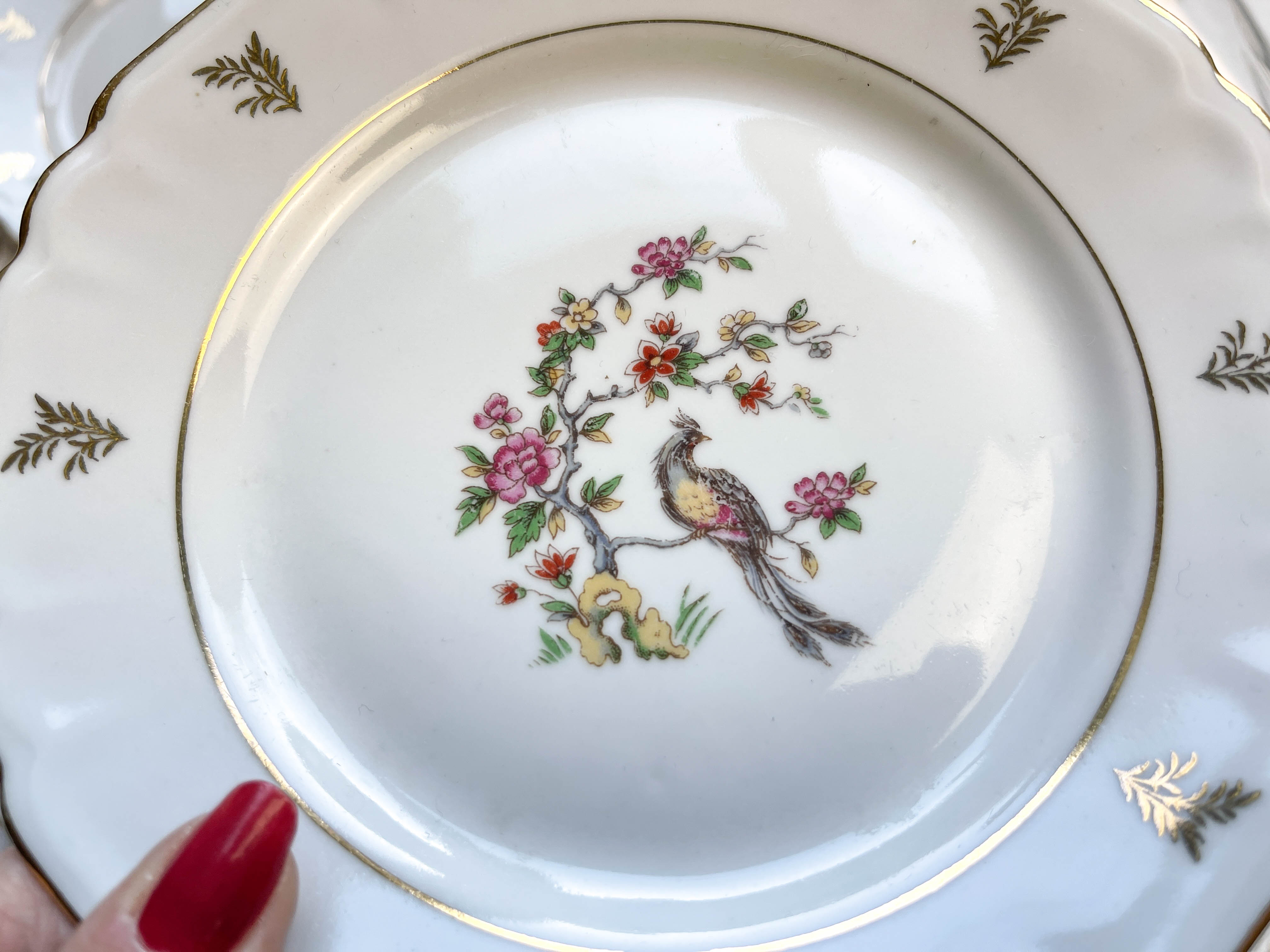 6 Limoges Berry porcelain plates with bird of paradise motif
