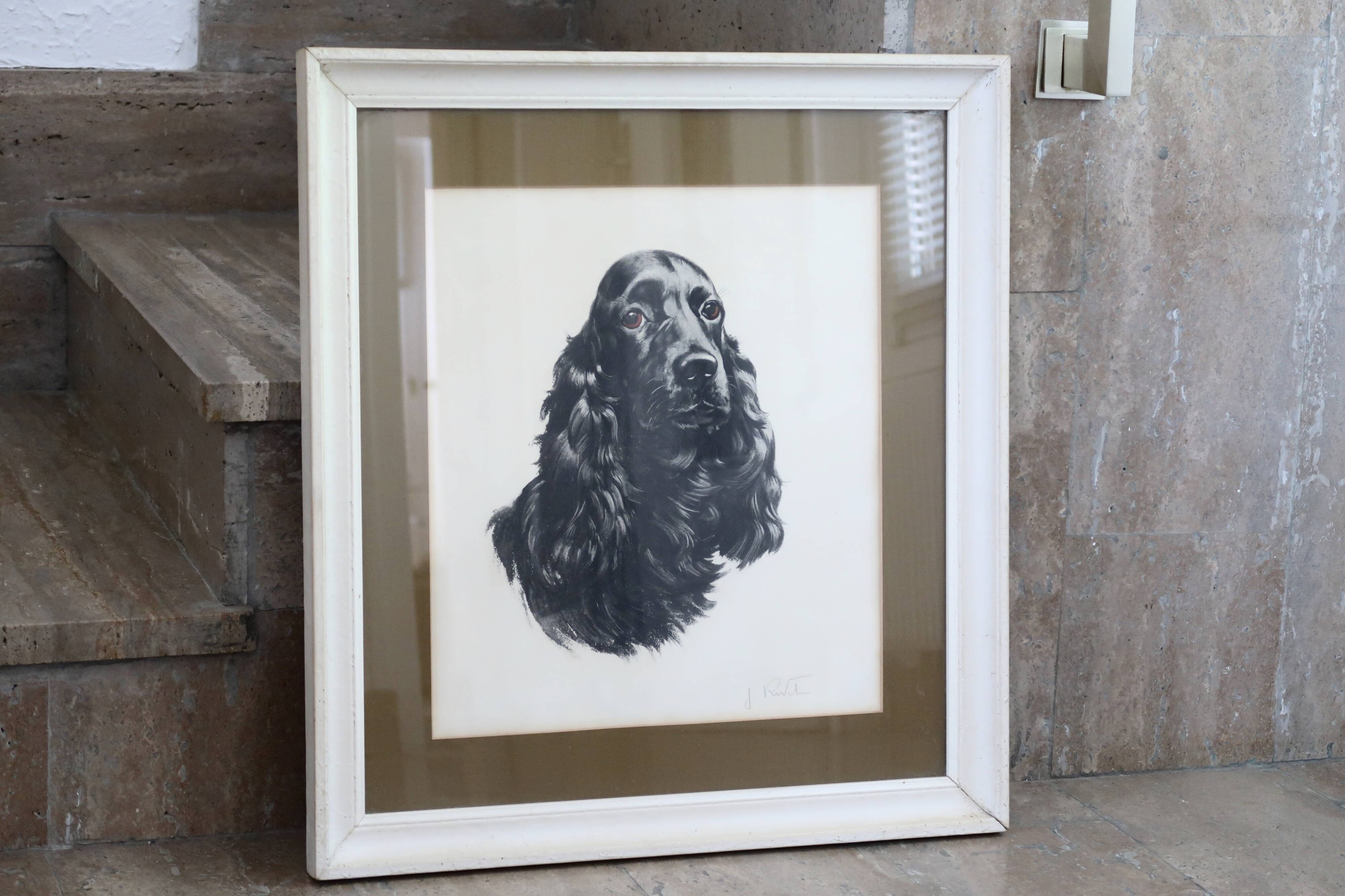 Animal portrait, painting signed by Jean Rivet, 1960s