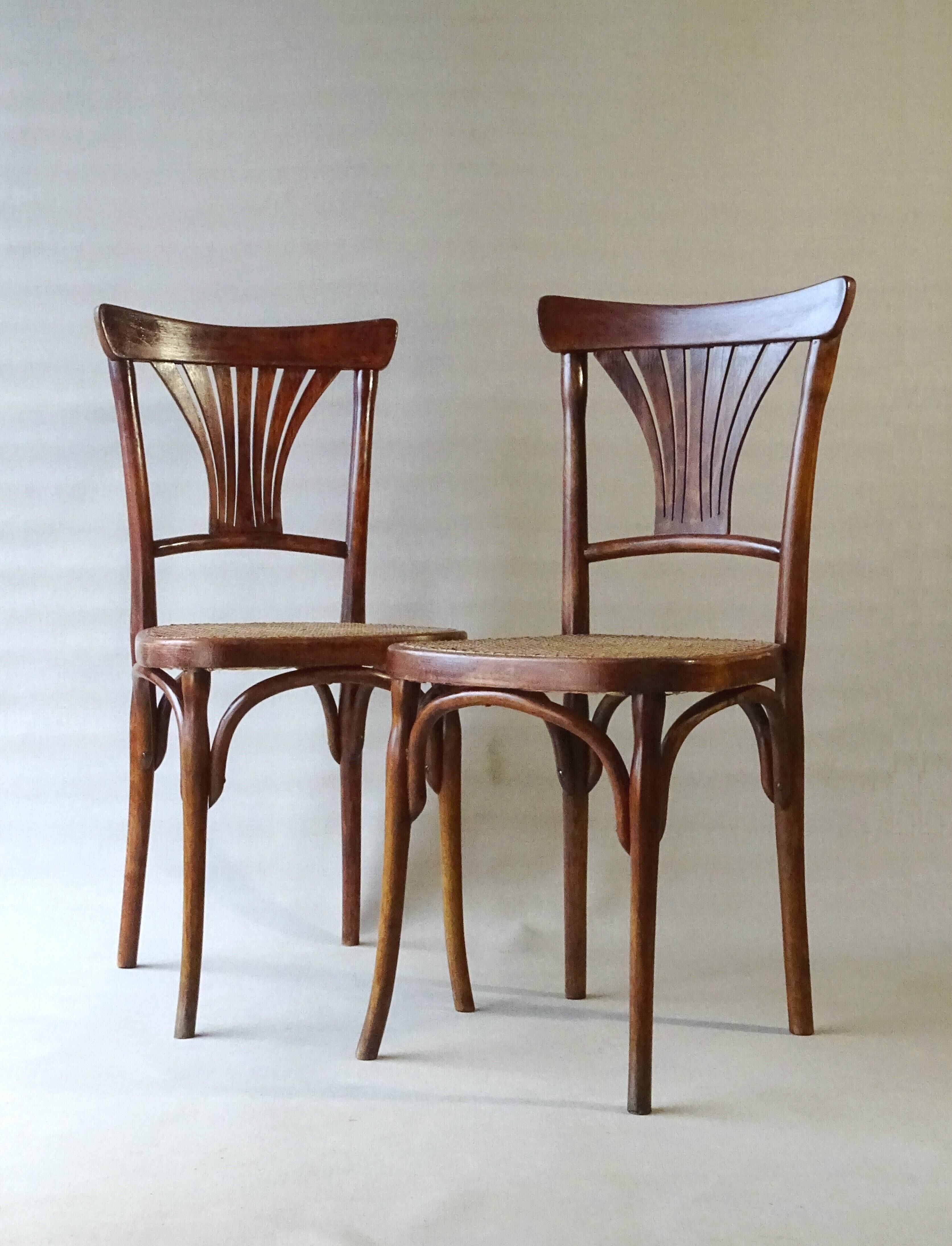 Two bistro chairs kohn n°196 in palmette, circa 1906, tanned