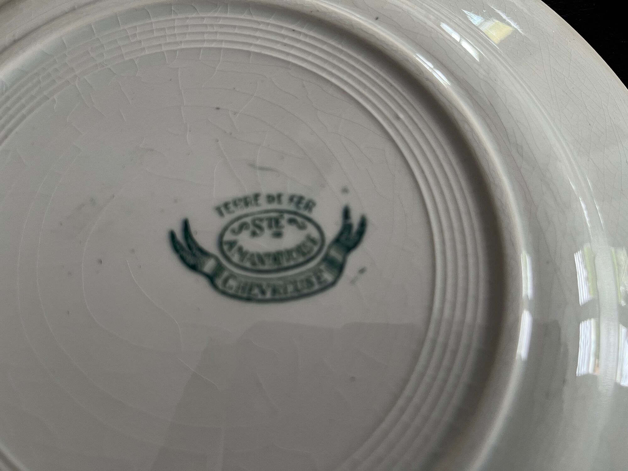 Lot 6 old plates porcelain iron earth saint amandinoise model chevreuse