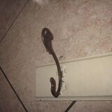 Old coat rack in art nouveau style