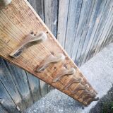 Ancient patère in fir