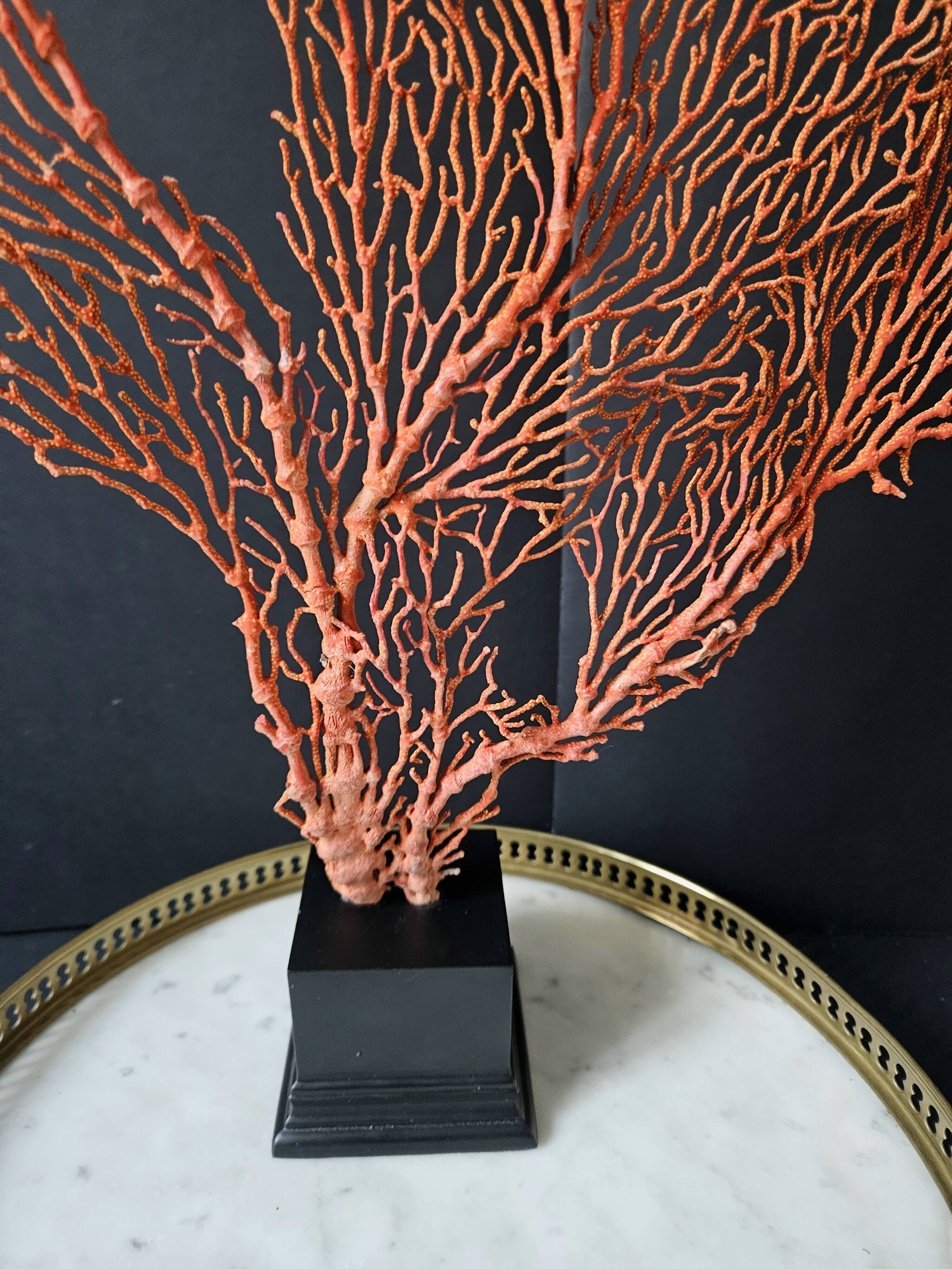 Gorgone Rouge XXL Wooden Base. H: 47 cm | Decorative Object l PlaceOdd