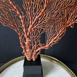 Gorgone Rouge XXL Wooden Base. H: 47 cm | Decorative Object l PlaceOdd