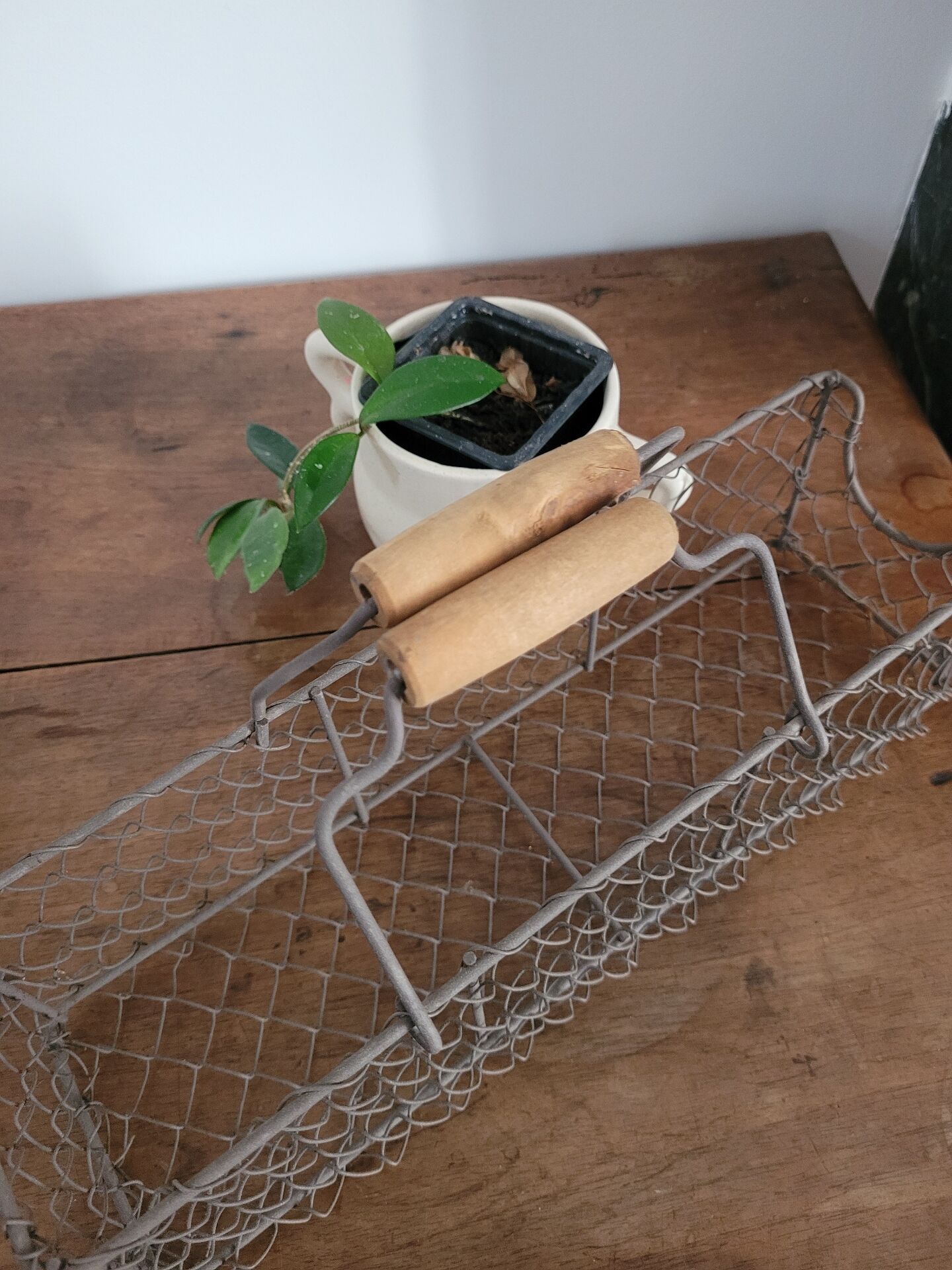 Wire mesh basket