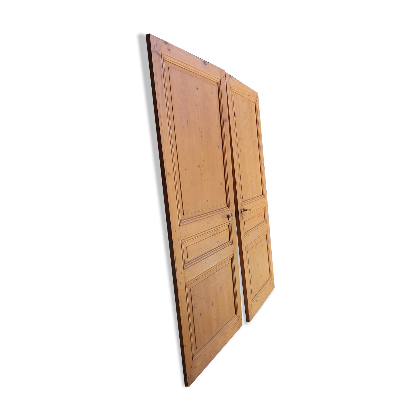 Tree paneled doors