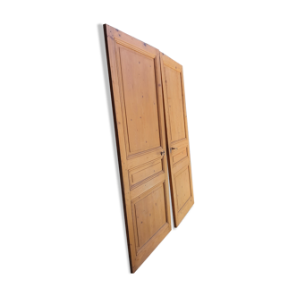 Tree paneled doors
