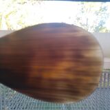 Rice spoon covered with serving in Asian handicraft horn