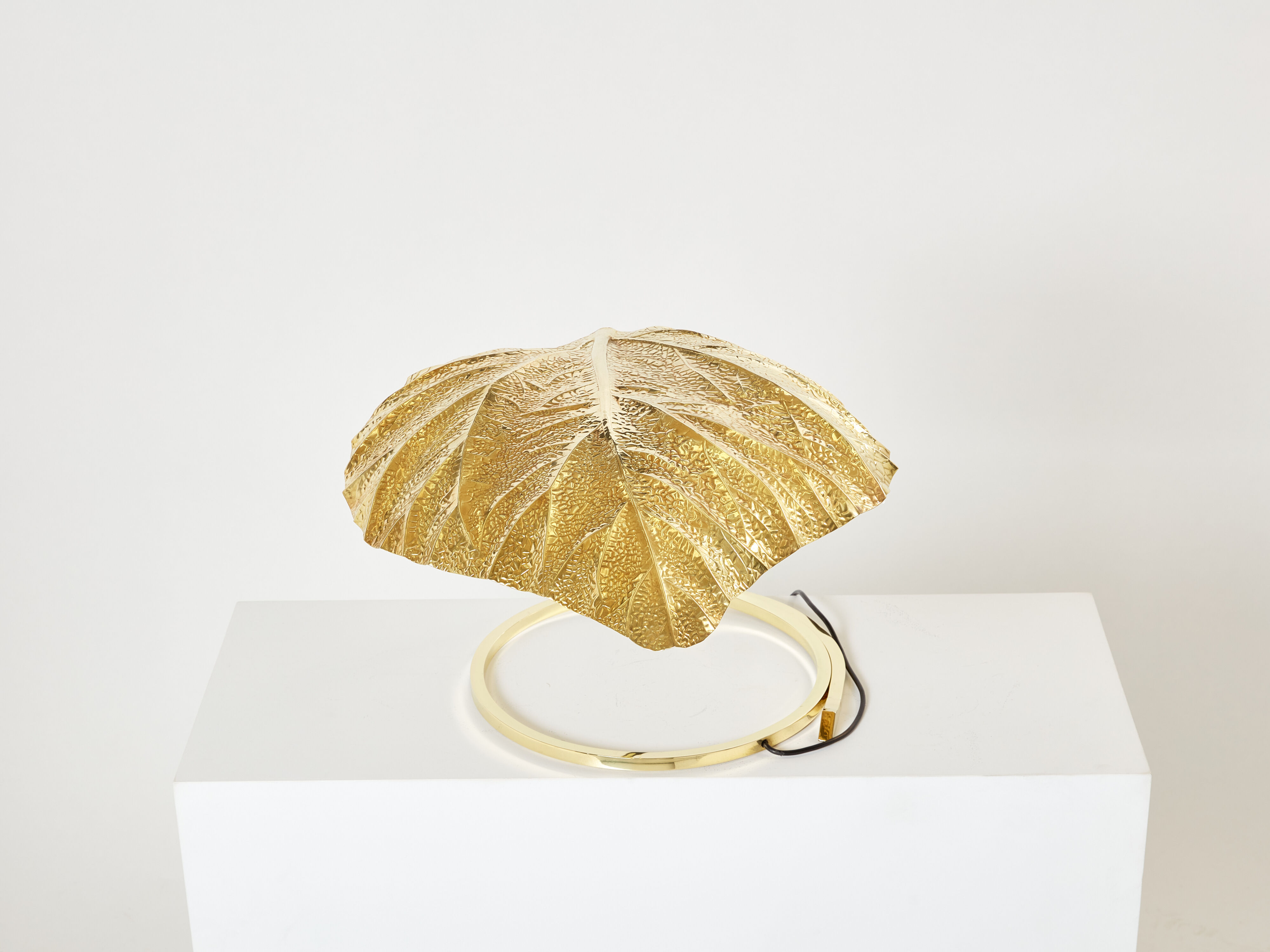 Rhubarb lamp in brass by Tommaso Barbi 1970