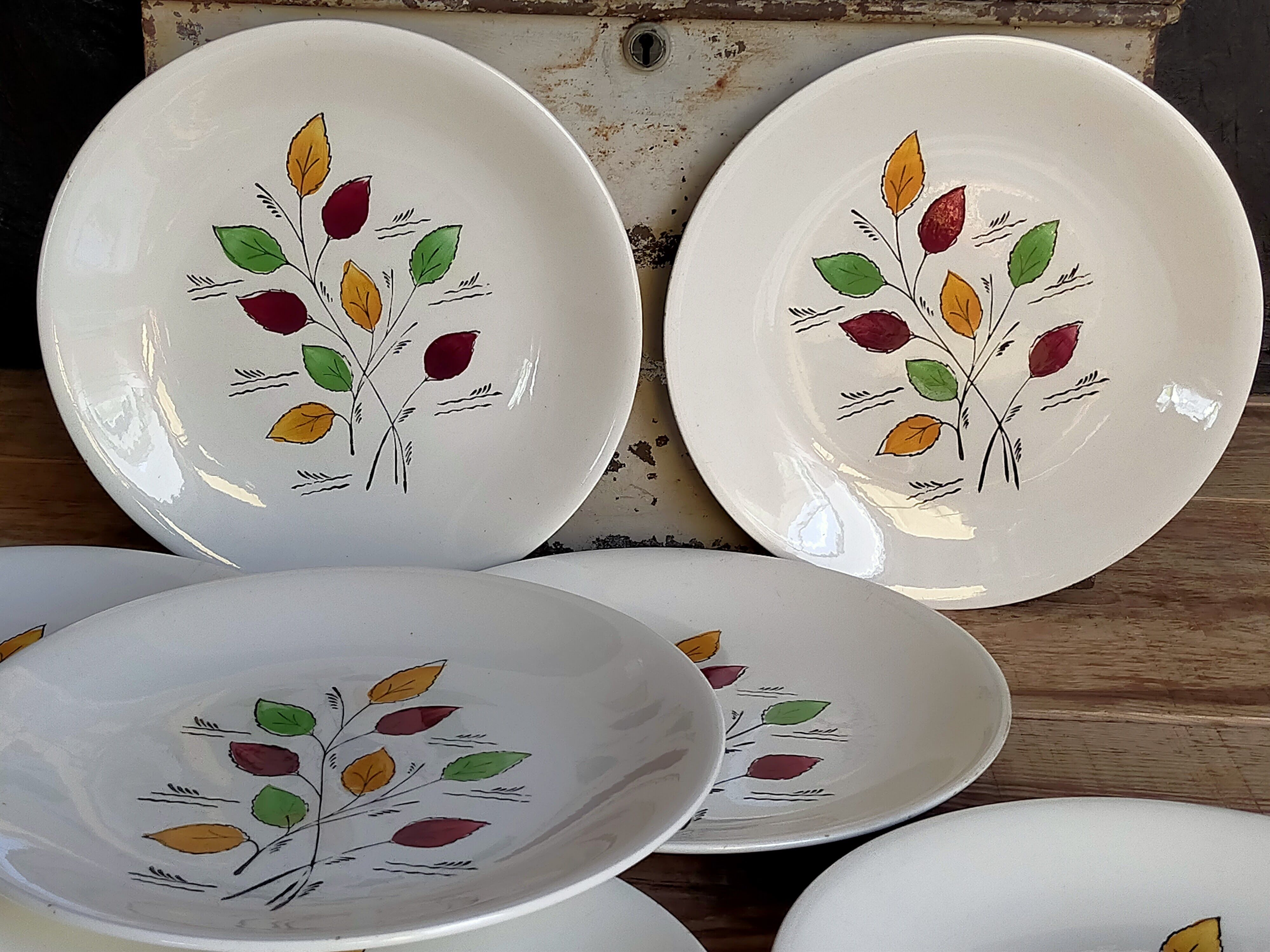 Seven vintage plates in fine earthenware from Gien service Gentilly