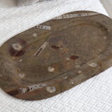 Fossil natural stone top