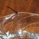 Coupe en cristal moulé signée Daum Nancy