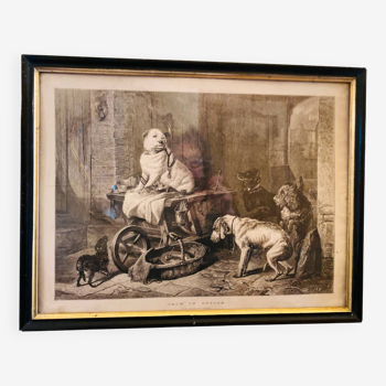 Reproduction of old engraving "Jack in office" after Sir Edwin Landseer (1802 - 1873)