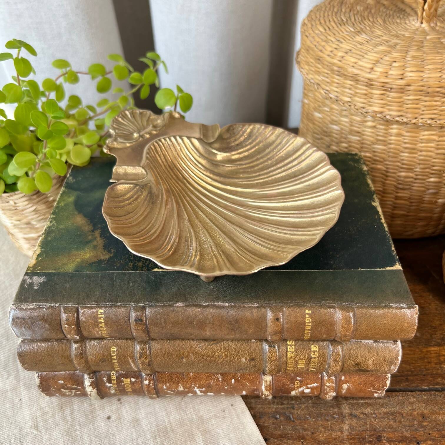 Scallop shell pocket in brass
