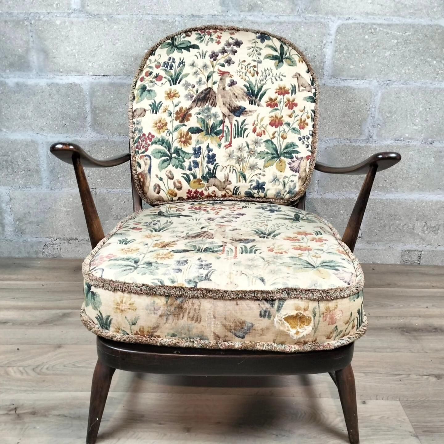 Fixed relax armchair by Luigi Ercolani for Ercol 1950/60