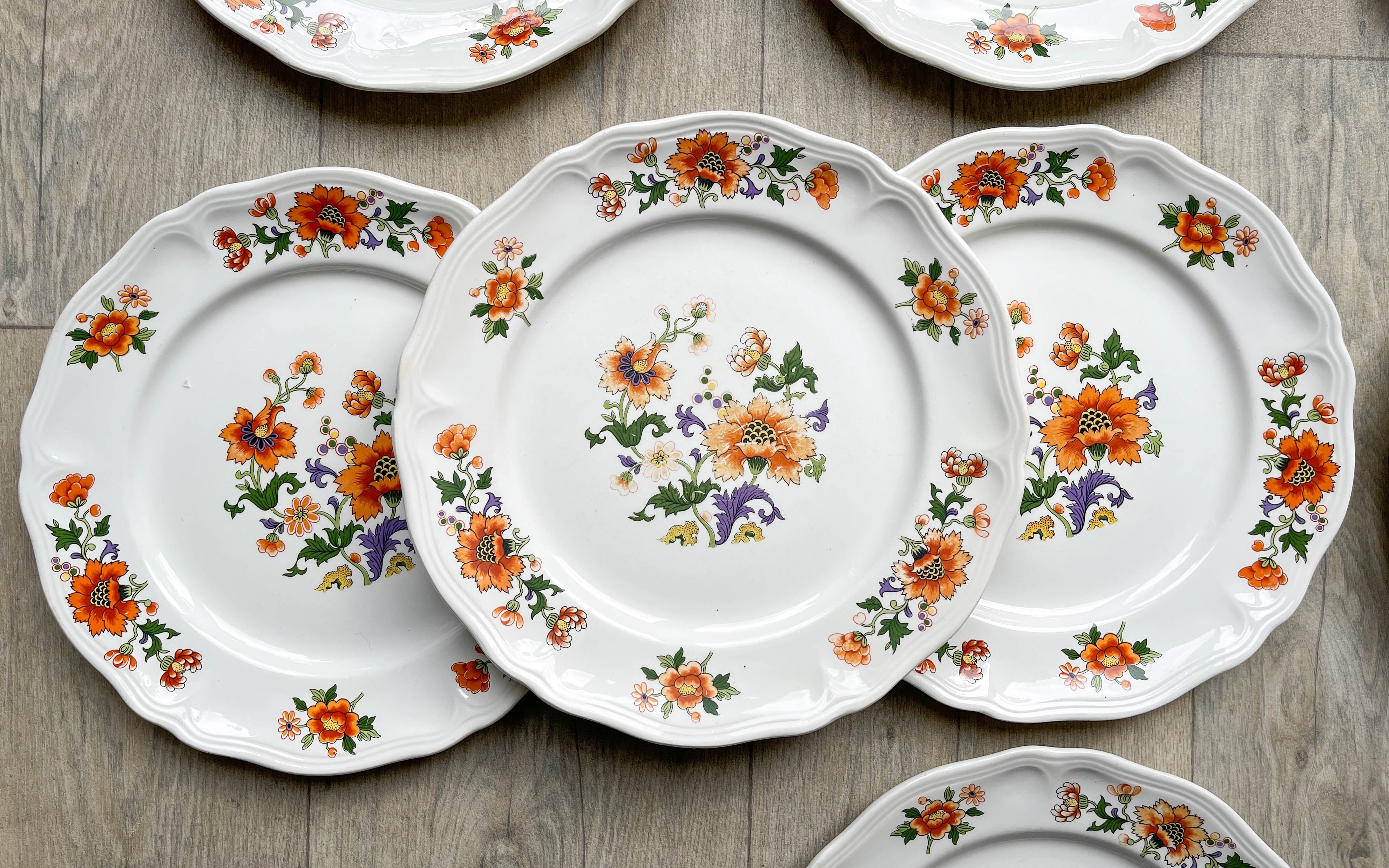 Table service in vintage earthenware Mills of Wolves "ORCHIES" 44 pieces