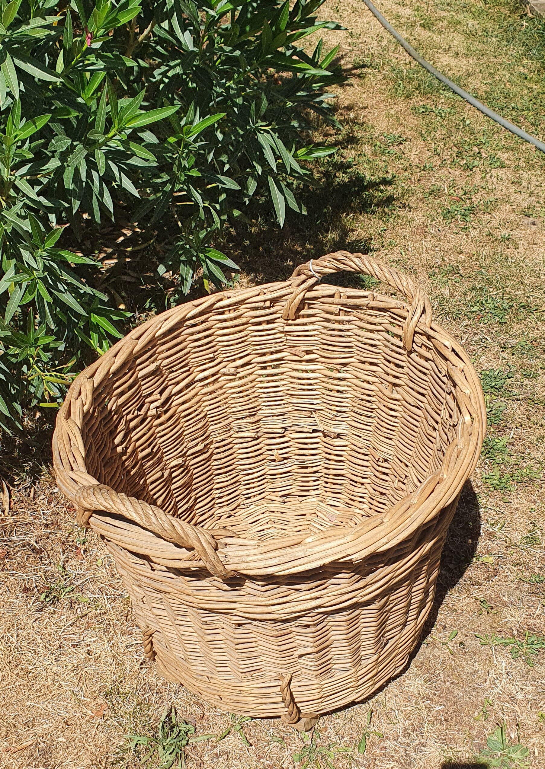 Rattan basket