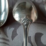 Art nouveau housewife, 48 pieces, 24 guests, foliage model, silver metal