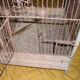 Old wooden bird cage