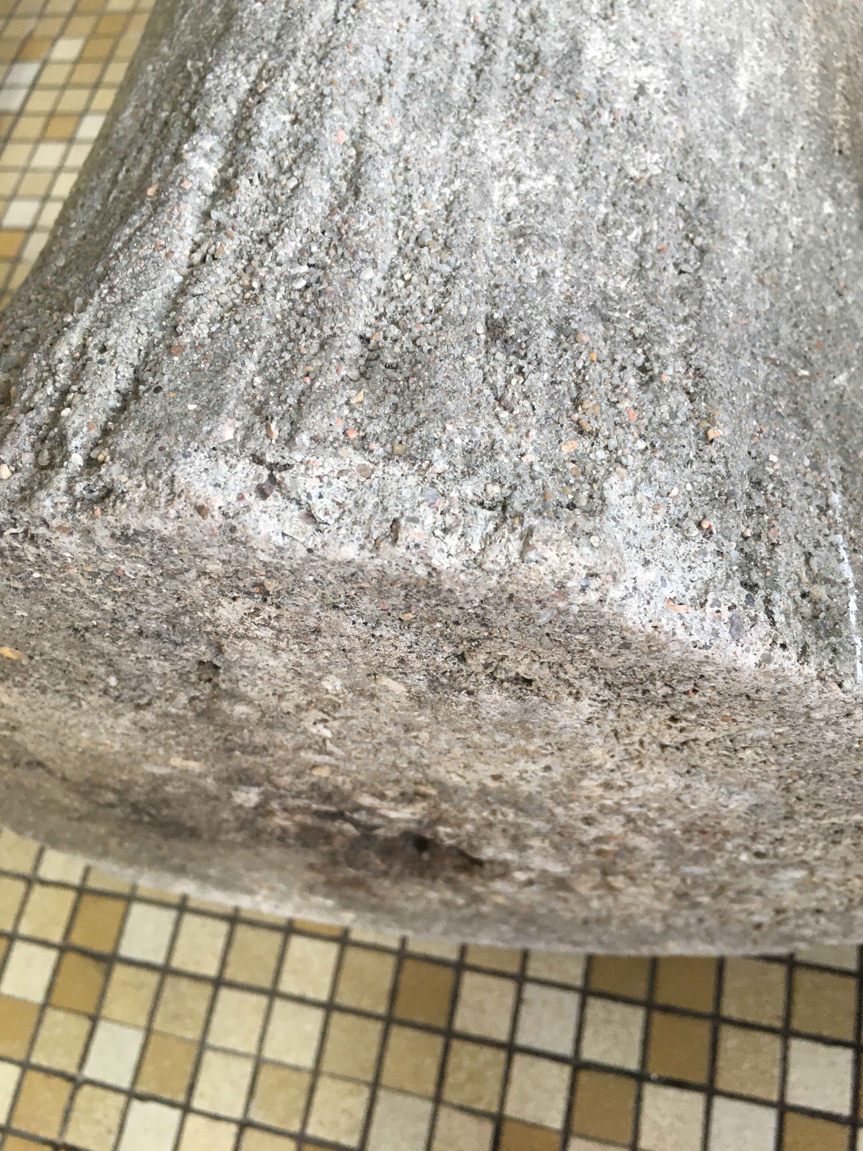 Pair of concrete planters