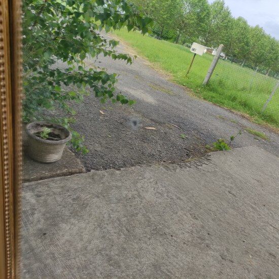 Large antique mirror Louis Philippe