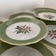 12 flat plates in flat earthenware KG Luneville bagatelle model, late 19th century