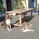 Renovated farmhouse table