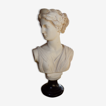 Bust of artemis Diana in platre