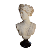 Bust of artemis Diana in platre