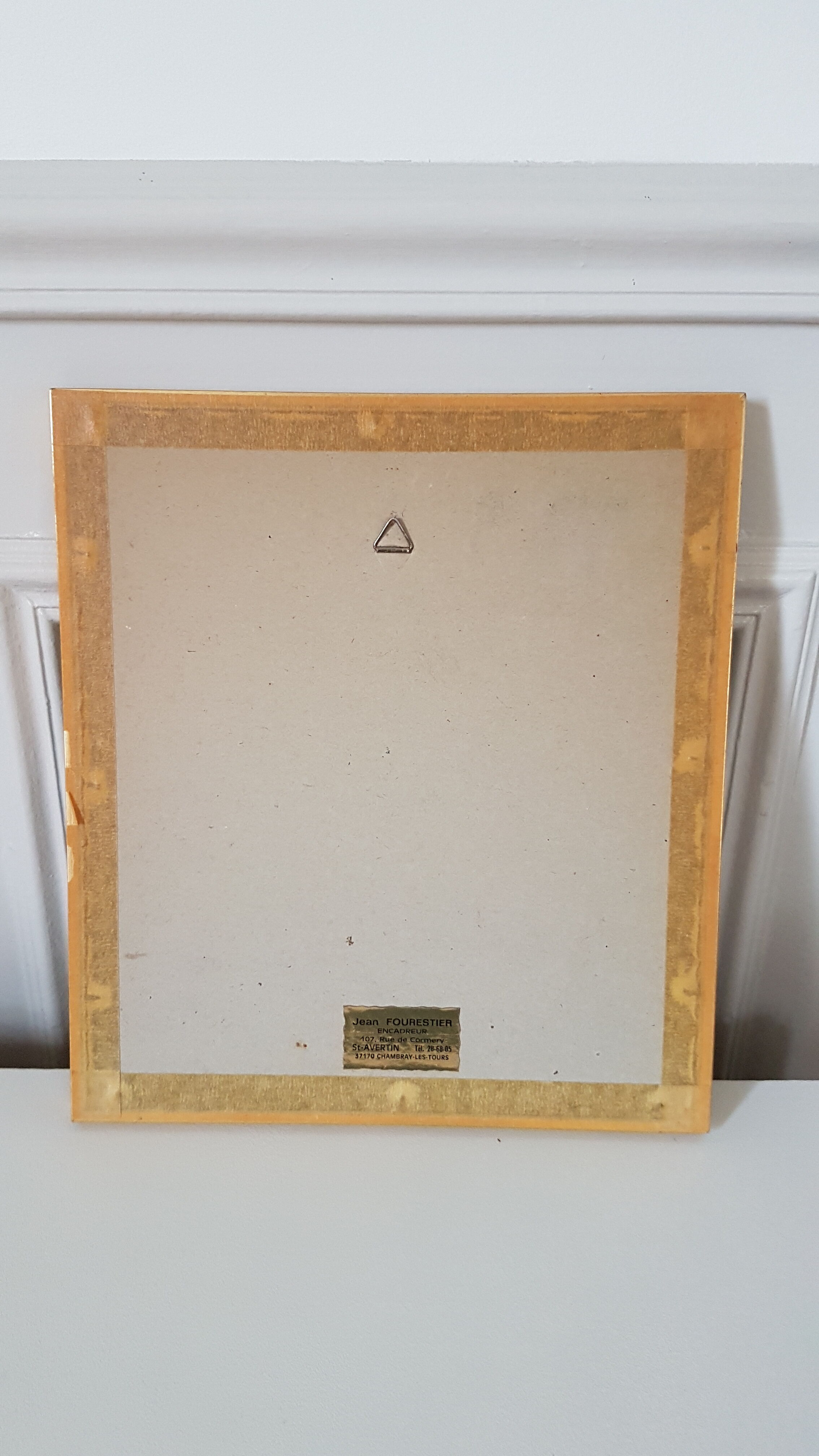 Framed bird engraving